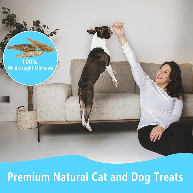 Minnows - 8.5 oz Freeze Dried Minnows for Cats & Dogs - 100% Natural Premium Cat & Dog Treat (8.5 OZ)
