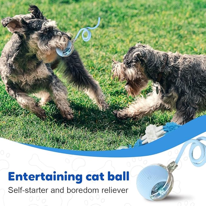 Smart Interactive Cat Toy Ball with Auto Obstacle Avoidance, 2 Mode Rolling Rechargeable Toy to Relieve Boredom, Quiet Durable Toy for Indoor Cats (Red)