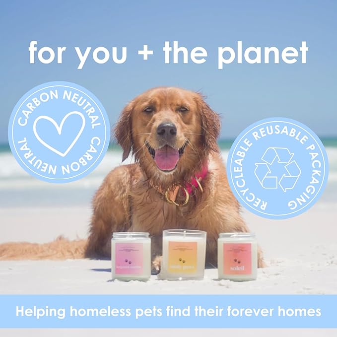 Midnight Moon | Pet Friendly Wax Melts | Natural Soy | Clean Burning | Non-Toxic | Veterinarian Approved | Pet Odor Eliminator | Air Freshening Scented Wax Melts