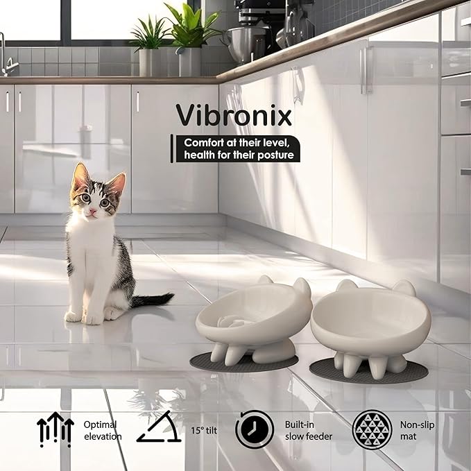 2 Pack Elevated Slow Feeder Cat Bowls – Whisker-Friendly Tilted Ceramic Bowls Anti Vomiting, Raised Feeding Station with Anti Slip Mat, Ideal for Senior Cats & Small Dogs