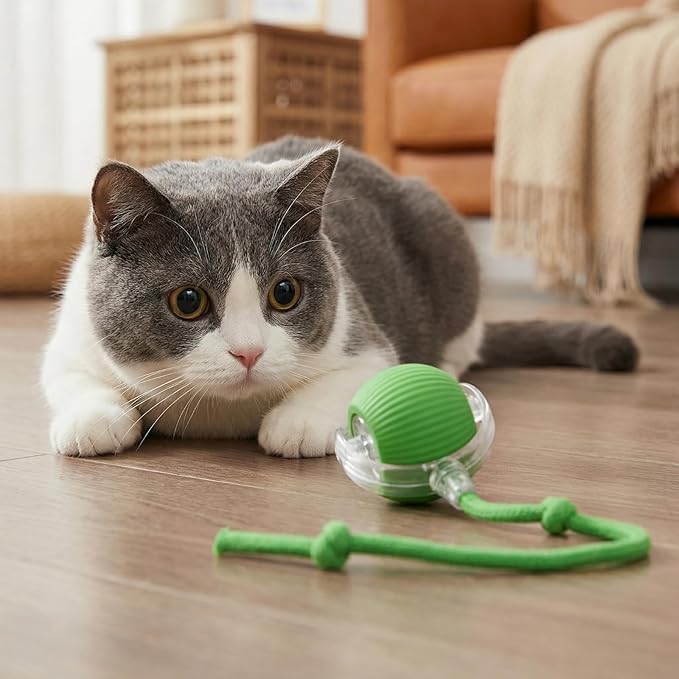 Interactive Dog Cat Toy Ball, Electric Automatic Rolling Moving USB Rechargeable Self Activated Stimulation Cat Toys for Indoor Cats and Dogs with Speedy Tail Rope(Green).