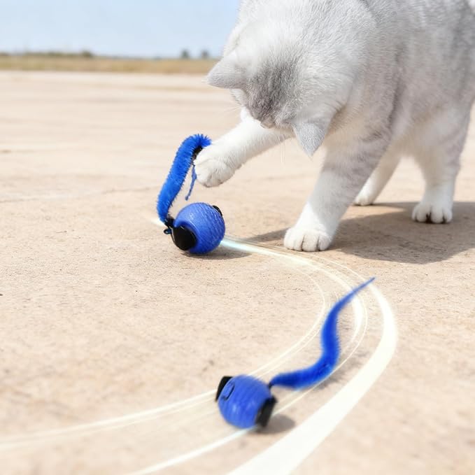 Interactive Cat Toy Ball with Tail - Automatic Motion Activated Rolling Cat Toys for Indoor Cats, Rechargeable Smart Enrichment Toy to Keep Kittens & Adult Cats Busy (Blue)