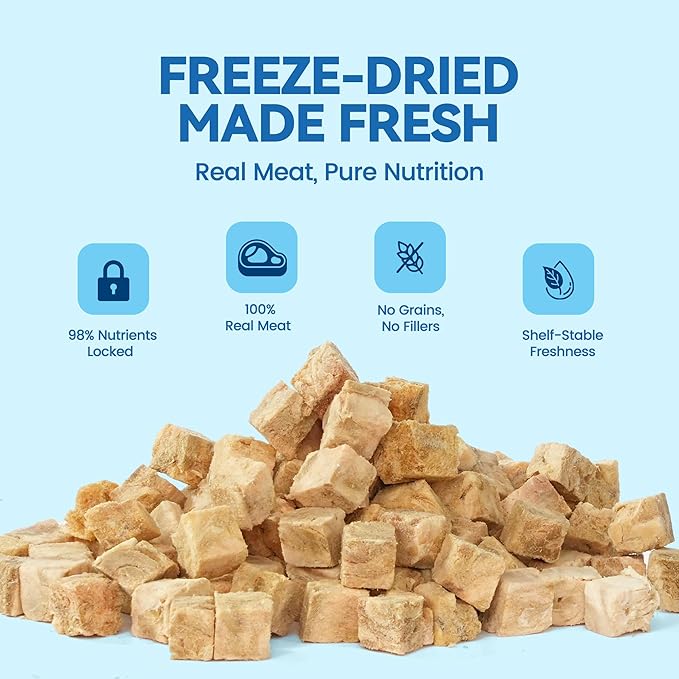 Freeze-Dried Salmon Cat Treats for Skin & Coat Health, 4oz, Single Ingredient High Protein Reward Snacks for Pets, Grain & Gluten Free