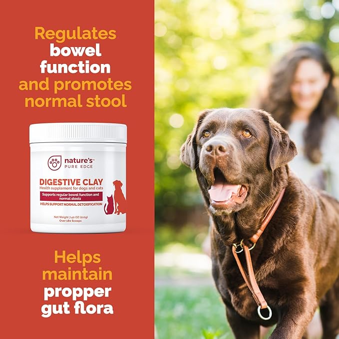 Clay Powder Anti Diarrhea for Dogs & Cats. Supports Gas Relief. Normalizes Gut PH in Dogs and Cats. Constipation Relief. Extra Large 7.40 oz.