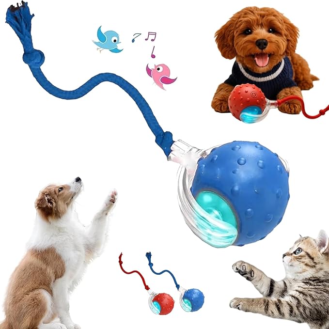 2026 New Interactive Fast Moving Toys Balls with Birdsong, Interactive Dog Cat Toys Balls, 360° Smart Automatic Rolling Electric Dog Ball Toy with Rope for Dogs and Cat Indoor Play (Blue)