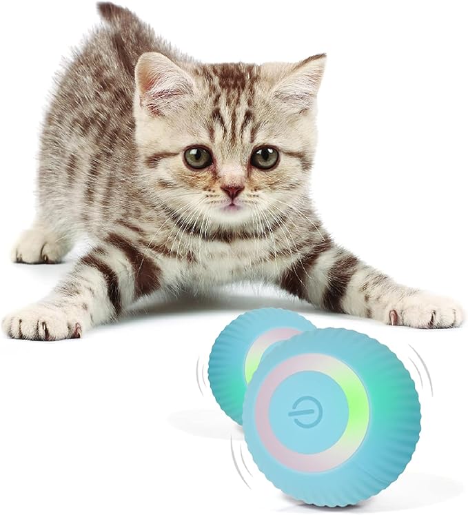 Interactive Blue Cat Ball - USB Rechargeable Automatic Moving Rolling Cat Toys for Indoor Kittens
