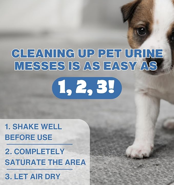 Instantly Urine Odor Remover for Pets - Eliminator for Cat & Dog Pee, Best Oxidizer Based Urine Cleaner for Carpets, House, Rugs, Mattress, etc. 2-128 Oz (2 Gallons)