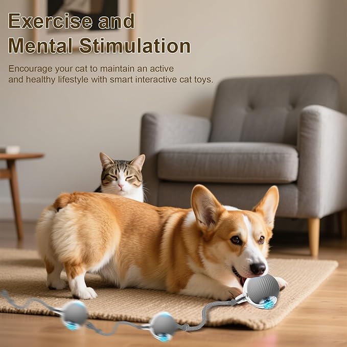 Interactive Cat Toy, 2025 New Interactive Rolling Cats Toy Balls 360° Smart Automatic Rolling Pet Ball, Fast Moving Toy for Dog,Cat Ball Toy (Red)