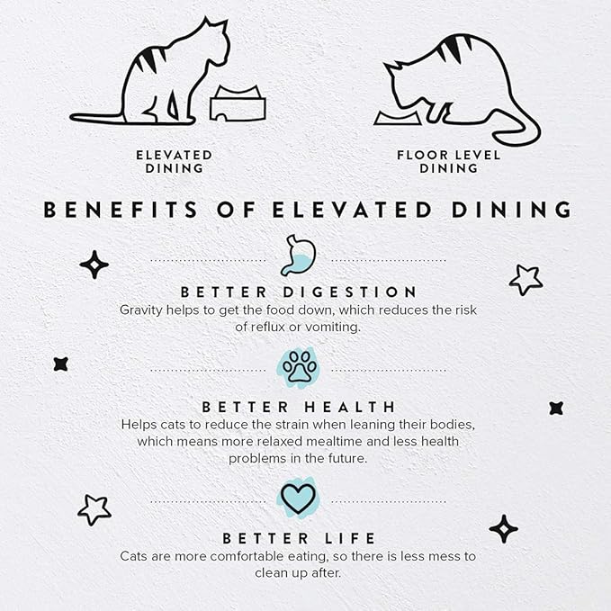 CatGuru Food Table for Cat Bowls, Elevated Feeding Station for Cat Food Bowl, Raised Stand for Pet Food and Water Bowls, Pet Feeder for Indoor Cats, Stress Free Stand for Pet Dishes (Pink, Standard)