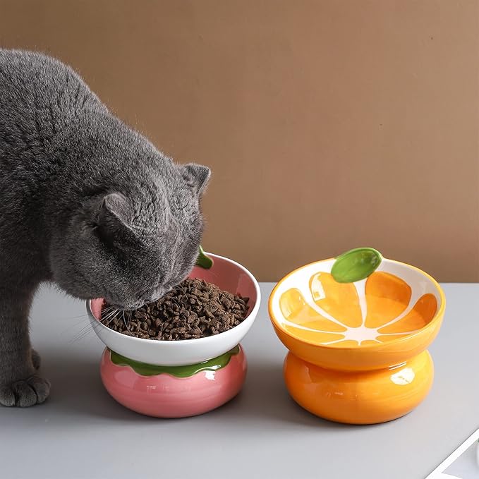 Ceramic Raised Cat Bowl - Pink Elevated Food Bowl for Indoor Cats, Anti-Vomiting & Spine Protection, Cute Tilted Dish for Flat-Faced Cats and Kittens (Strawberry Shaped)