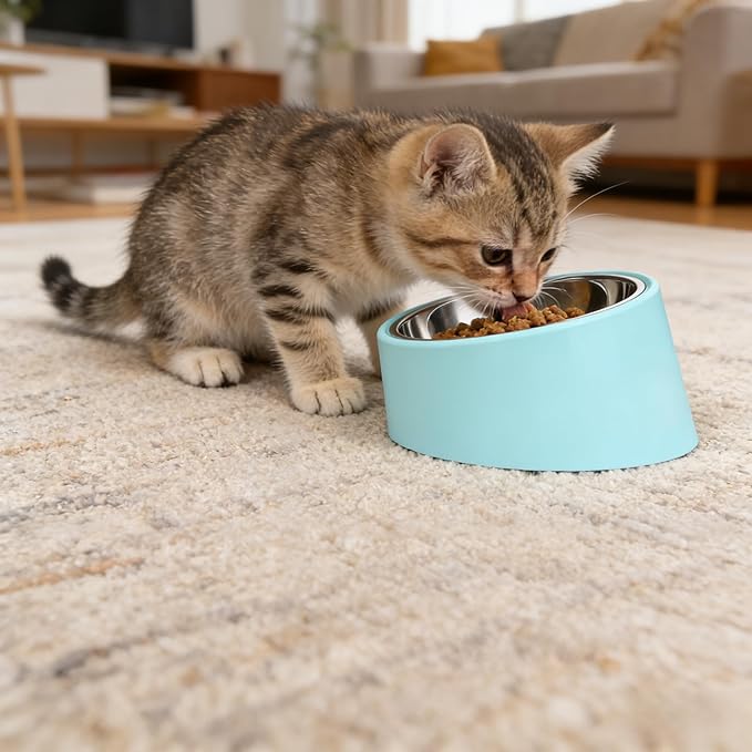 Small Light Blue 15° Slanted Dog Water Bowl - Elevated Raised Pet Dish with Removable Stainless Steel Inner Bowl, Ergonomic Tilt Design for Easy Drinking