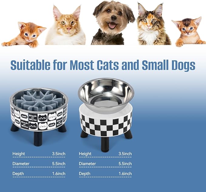 2PCS Elevated Cat Bowls with Slow Feeder, Wide Raised Stainless Steel Cat Dishes Plastic Stand Silicone Slow Food Dispenser, Whisker Friendly Pet Water Food Plates Feeding Station Indoor Cats, Kitten