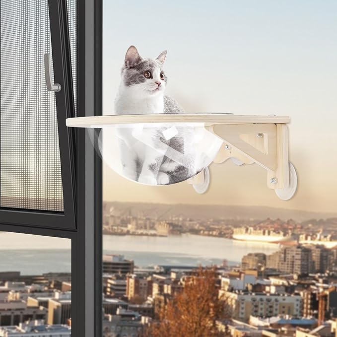 15.75''x15.75'' Wall-Mounted Cat Space Capsule, Wooden Clear Cat House with Transparent Window, Capsule Kitten Walls Shelves with 16.5 lbs Capacity for Indoor Cats, Solid Wood & Plastic