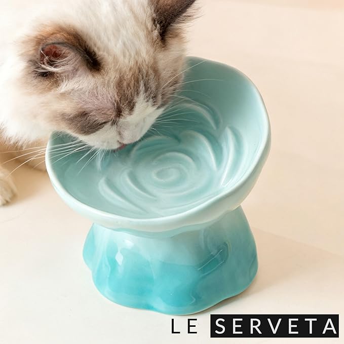 Elevated Ceramic Cat Bowl, Tilted Slow Feeder Pet Dish with Gradient Color Coating, 3.3 Ounces Capacity, Anti-Gulping Design with Rose Bouquet Design (Gradient Blue)