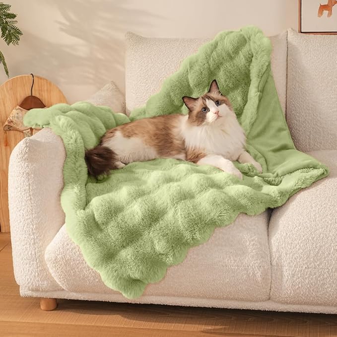 SOMAHE Self-Warming Cat Blanket, Dual-Side Plush Sherpa Throw with Anti-Static, Snuggle Mat for Kittens & Cats, Cozy Bed Topper for Windowsills & Couches, Machine Washable & Dryable, 21x18 Inch Green