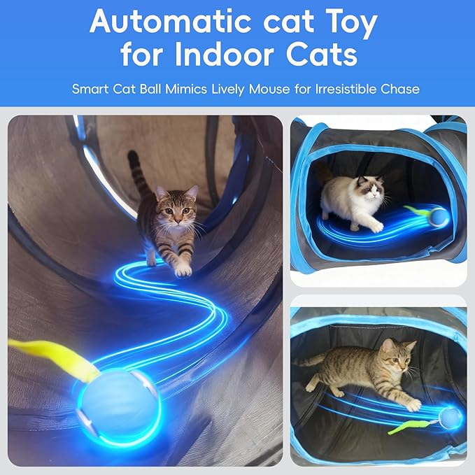 Interactive Cat Toys, Fast Rolling Toy Ball in Cat Tunnel, Automatic Cat Toy for Indoor Cats, Cat Hunting Toys for Indoor Cats