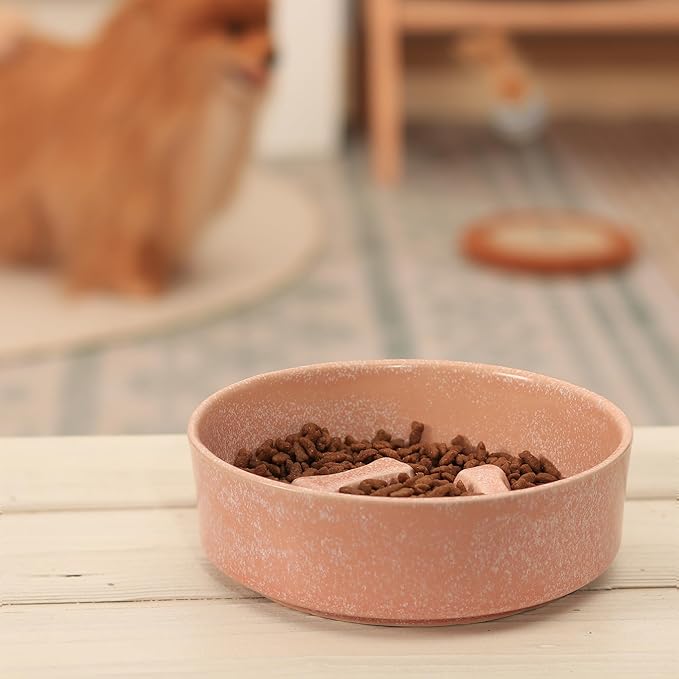Ceramic Slow Feeder Cat Bowls 6 Inch Cute Bone Slow Feeding Dog Food Bowl,Whisker-Friendly, Anti-Vomiting Feeder for Cats and Small Dogs Non Slip Dishwasher/Microwave Safe (Pink)