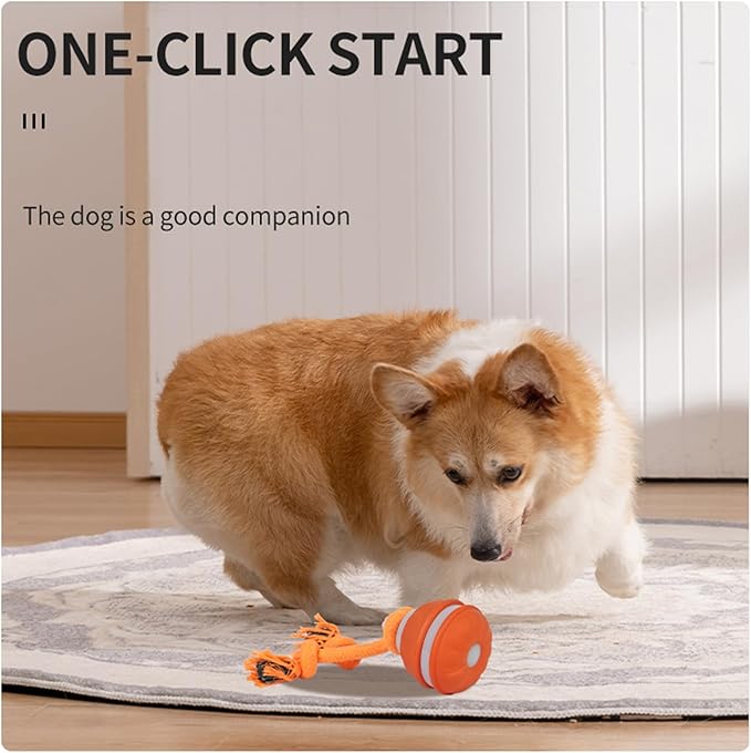 Interactive Dog Toys Dog Ball,Automatic Rolling and Bouncing Moving Dog Toy,Squeaky Rolling Balls with Flashing Light,USB Rechargeable Chew Toys for Puppy Small Dogs, Pet Ball to Keep Them Busy