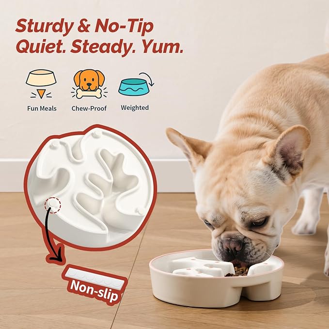 Ceramic Slow Feeder Dog Bowl - Portion Control Feeding Bowl for Medium Dogs – Cute Maze Food Dish for Fast Eaters - 3.1 Cups (310 g) - Doodle Series (Petal)