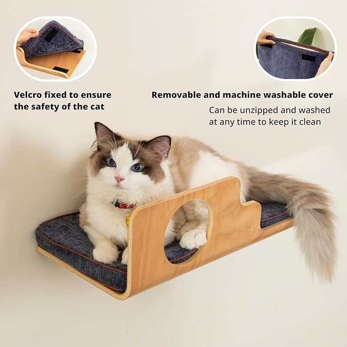 LIORCE Cat Wall Shelves, Creative Design Cat Shelf with Peephole, 19 x 10 inch Cats Wall Furniture with Comfortable Pad, Cats Perch for Sleeping, Playing, and Scratching.