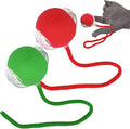 New Interactive Rolling Dog Ball, Cat Toys for Indoor Cats, Moving Cat Ball with Tail for Small, Medium Dogs, Cats (Red & Green 2pcs/Set)