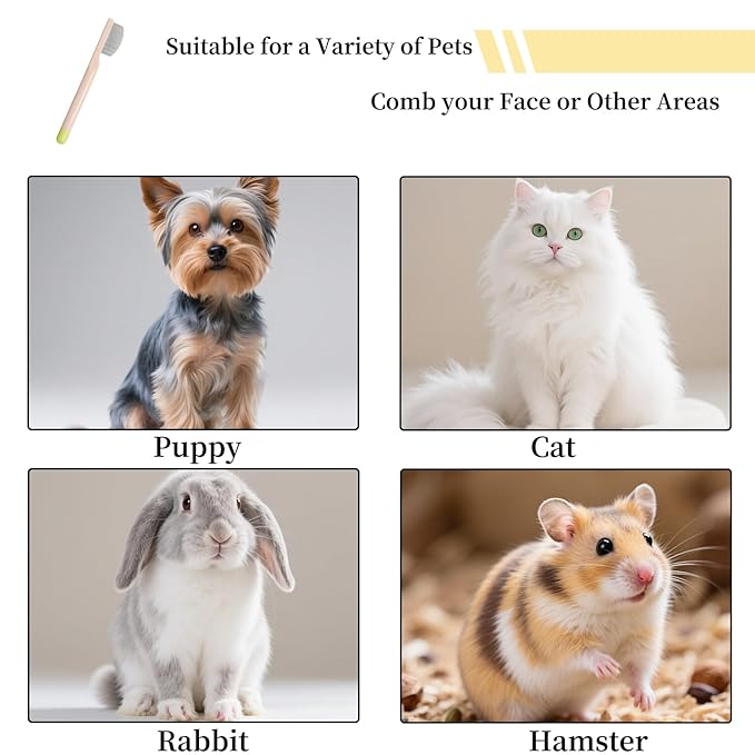 Stainless Steel Dog Eye Comb - Small Design for Pet Facial & Paw Grooming, Round-Tip Arc Teeth, ABS Handle, Puppy Flea Brush, Fit Yorkie, Shih Tzu, Maltese Maltipoo Pomeranian