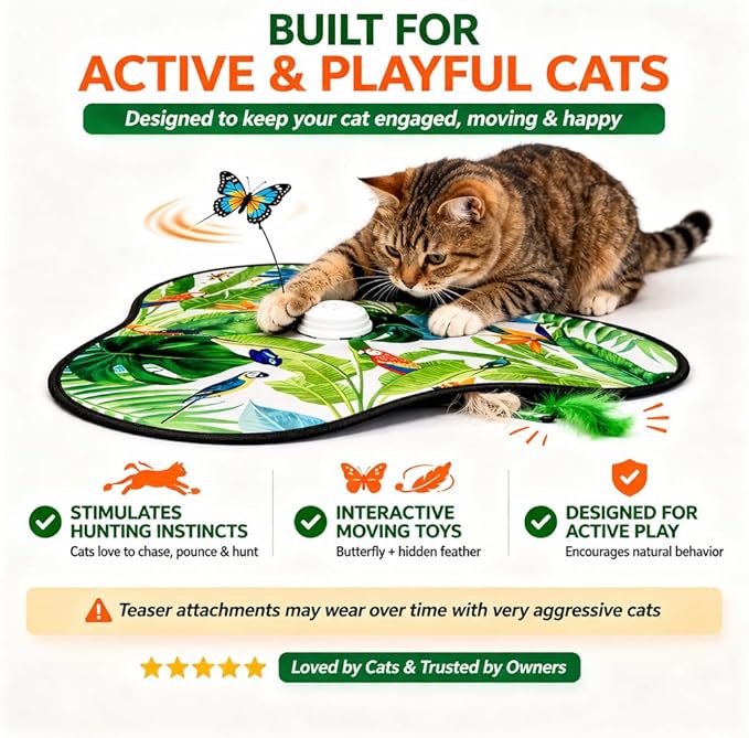 Pet's Var Interactive Cat Toys for Indoor Cats - Automatic Anti-Boredom Butterfly Toy with Plush Flutter Tail & Realistic Bird Sounds, Motion & Touch Activated, USB Rechargeable Self Play Exercise Fun