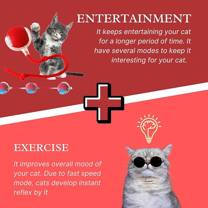 2.0 Smart Interactive Cat Dog Toy, 360° Automatic Rolling Ball with Jumping Feature, Red
