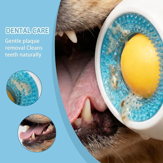 Slow Feeder Lick Ball & Bowl for Dogs & Cats, Anxiety Relief Treat Dispenser, Pet Enrichment Toy for All Breeds (for Dog)