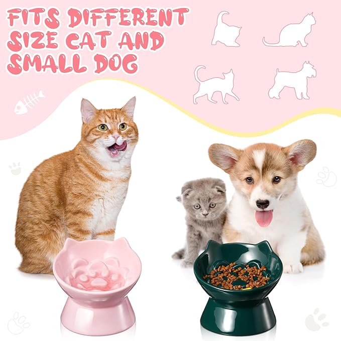 2 Pcs Ceramic Raised Slow Feeder Cat Bowl, 5.91inch Elevated Cat Slow Feeder Bowl Tilted Anti Vomiting for Dry Wet Food and Water Easy to Clean High Edge(Dark Green, Pink)