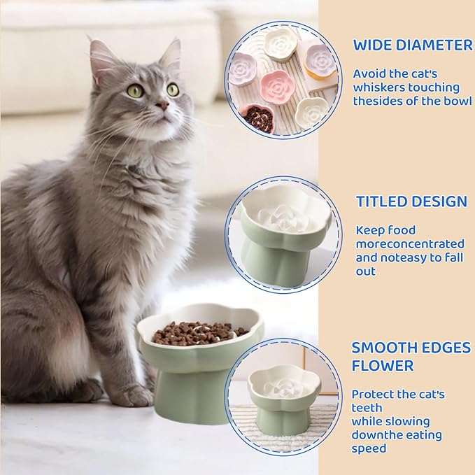 Ceramic Elevated Slow Feeder Cat Bowl,Anti Vomit Design for Whisker Fatigue Relief,Elevated Slow Feeder Bowls for Indoor Cats&Small Breeds,Perfect for Wet Food&Small Dogs (2, Green & Blue)