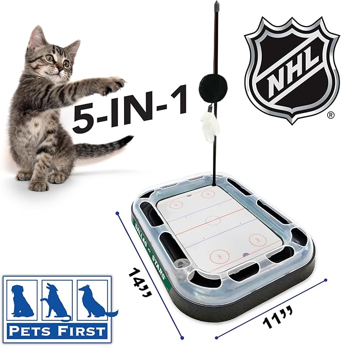 Pets First NHL Dallas Stars Hockey Field Scratching Cat Toy with Interactive Cat Ball Bell and Tracks