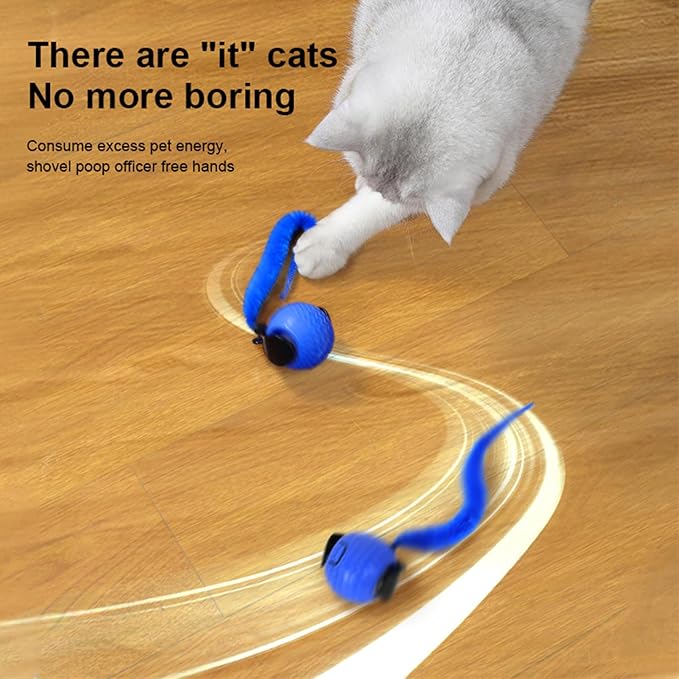 Interactive Cat Toy Ball with Tail, Automatic Moving Cat Balls for Indoor Cats - 360° Rolling, Dual Speed Adjustment, USB Rechargeable