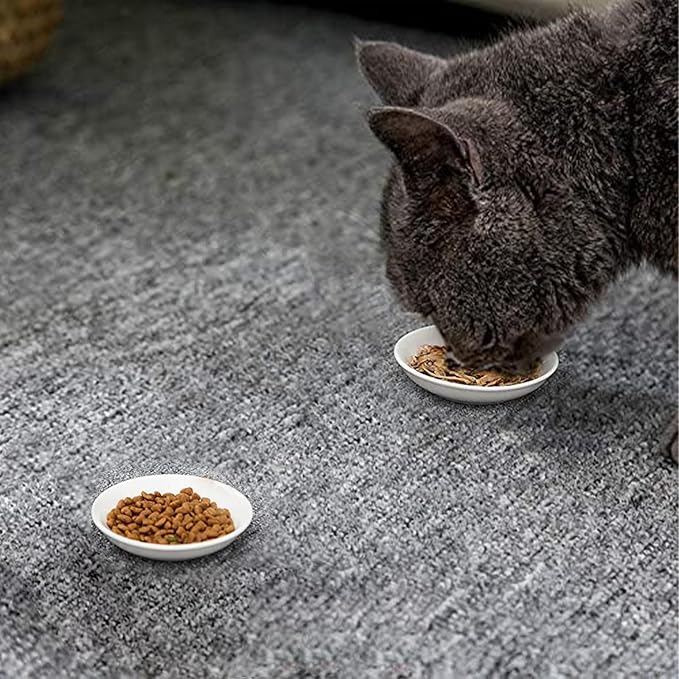 BigNoseDeer Super Cute Cat Ceramic Sauce Dish,Mini Side Seasoning Dish,Condiment Dishes,Sushi Soy Dipping Bowl,Snack Serving Dishes,Meow Porcelain Small Saucer Set(Set of 6)