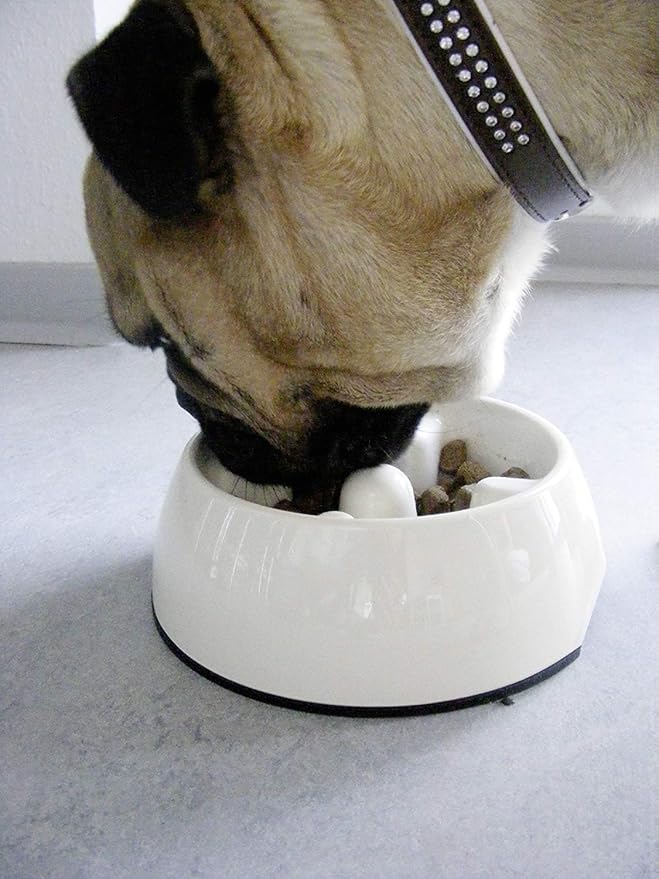 Dogit Dog Bowl Slow Feeder for Wet or Dry Dog Food, Go Slow Anti-Gulping Dog Dish, White, S