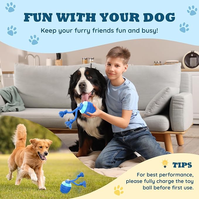 Interactive Dog Toys Ball - New Upgraded Chase Buddy Dog Toy for Small Dogs, Automatic Moving and Rolling Dogs Ball for Boredom, USB Rechargeable(Blue)