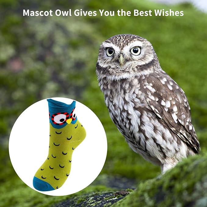 Jeasona Women's Cat Socks Cat Gifts Cute Animal Socks Dog Owl Gifts for Women