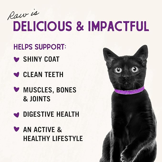 Stella & Chewy's Freeze-Dried Raw Cat Dinner Morsels - Premium Chicken Recipe with 98% Cage-Free Meat & Organs - Natural Grain-Free Cat & Kitten Food - Made in USA - 1 oz (Pack of 2)