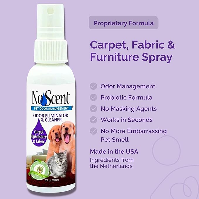 No Scent Carpet Upholstery & Fabric Furniture Spray Spot Cleaner for Wet Dog Smell, Cat Spray, Pet Odor, Urine, Poop & Secretions (8 Fl Oz / 237 mL)