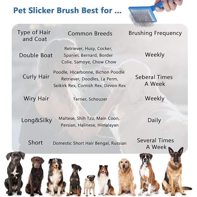 Ergonomic Slicker Brush for Long-Haired Dogs, Wooden Handle Dog Brush,Goldendoodles, Labradoodles, Poodles Long Pins for Grooming Loose Hair，Effectively Removes Tangles, Knots and Loose Fur