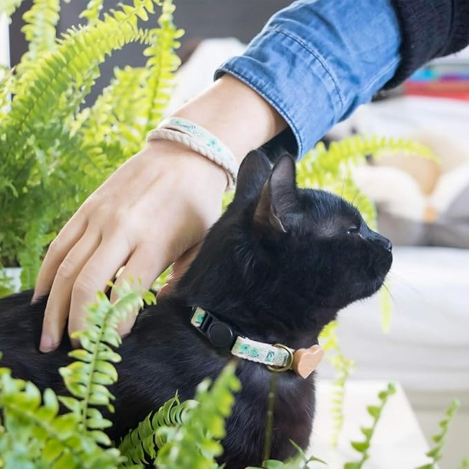 Pettsie Breakaway Cat Collar with Wooden Heart Charm & Matching Owner Bracelet – Soft Cotton, Adjustable Safety Collar for Cats, Lightweight & Stylish, 8"-11", Gift-Ready Set for Cat Lovers, Green