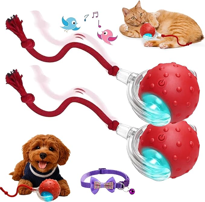 2026 New Dog Toy, Motion Dog Toy 2.0, Interactive Fast Moving Ball with Birdsong, 360° Smart Automatic Rolling Electric Dogs Ball Toys with Rope for Dogs Cat Indoor Play (Red*2)