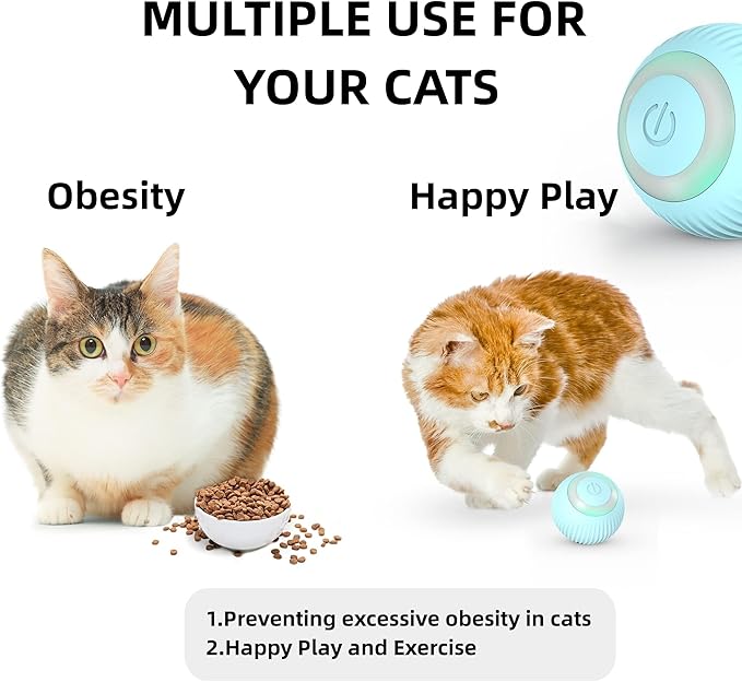 Interactive Blue Cat Ball - USB Rechargeable Automatic Moving Rolling Cat Toys for Indoor Kittens