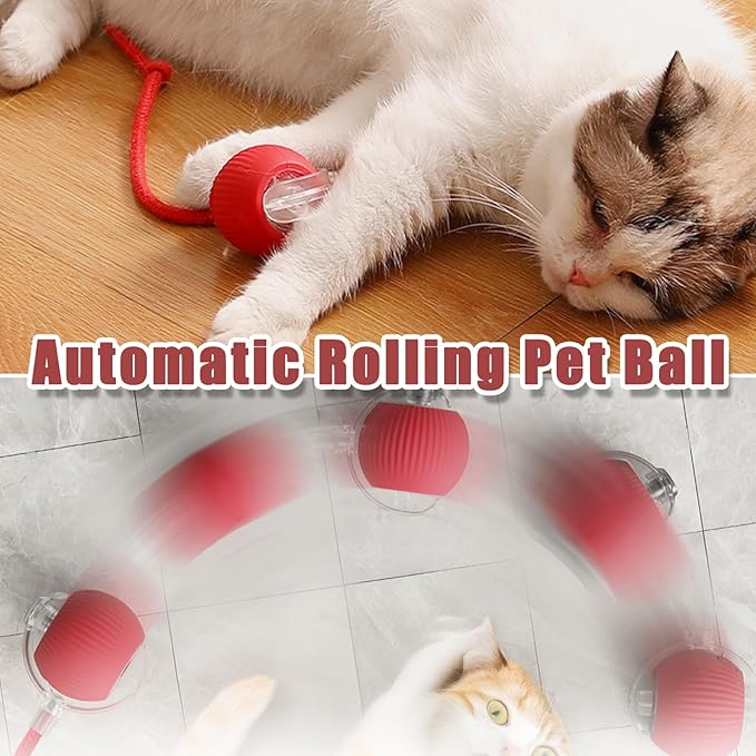 Interactive Rolling Cat Ball, 2025 Smart Automatic Cat Dog Toys, Automatic Cat Toys, Self Moving Cat Toys, Interactive Cat Toy Ball for Bored Small Dogs, Cats (3Pcs-B)