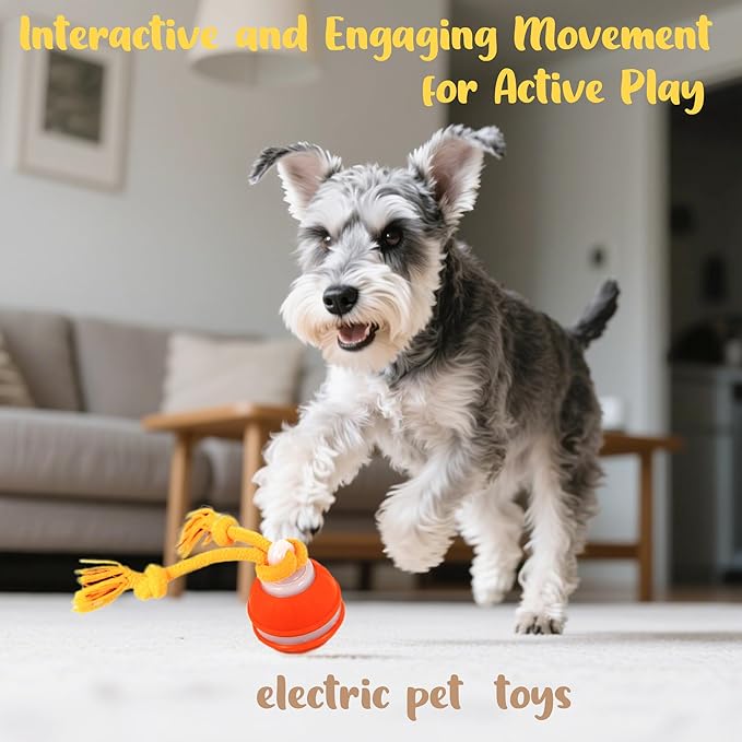 KumCinn Power Tail 2.0 Automatic Moving Dog Ball - Interactive Dog Toy | Self-Rolling, Motion Activated Electric Pet Ball to Keep Dogs Busy & Relieve Boredom (Suitable for All Dog Breeds)