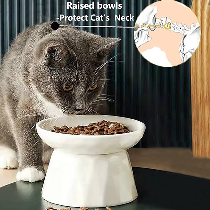 Raised Slow Feeder Cat Bowl, Ceramic Elevated Cat Slow Feeder, Healthy Eating for Wet & Dry Food, Sturdy & Grippy, Pet Puzzle Food Plate, Prevent Vomitting Indigestion, Dishwasher Safe