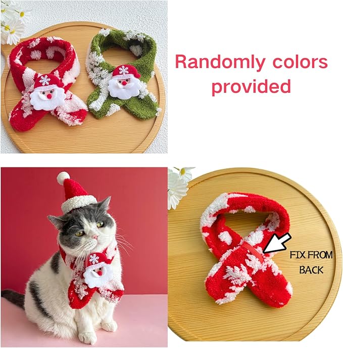 Litter Box, Kitten Starter kit, cat House, Food Water Feeder, Nail Clipper Grinder Trimmer, Toys, Clamp for cat Canthus gunk,Self-Cleaning Comb,
