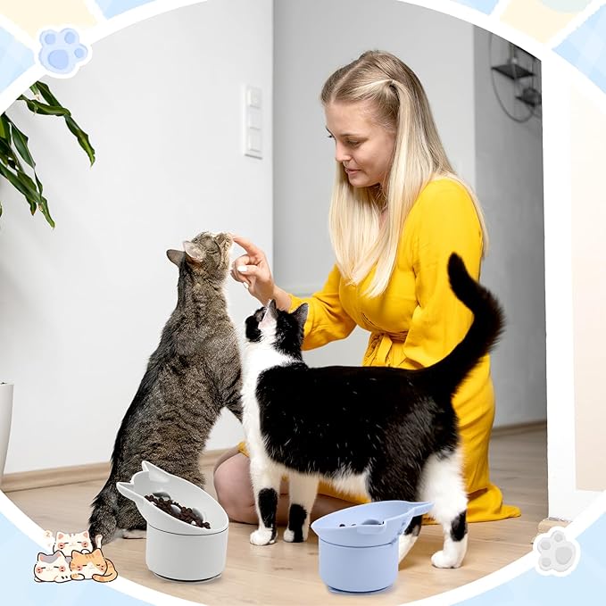 2 Pack Silicone Cat Slow Feeder, Elevated Slow Feeder Cat Bowl for Dry and Wet Food, Tilted Design with Non Slip Base, Adjustable Angle for Pet(Gray and Blue)