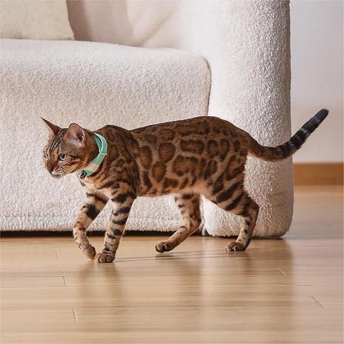 Automatic Cat Toys Laser Collar with Red Light, Interactive Cat Toys for Bored Indoor Cats, Rechargeable Electric Laser Pointer Cat Toy Wearable Collar for Kitten