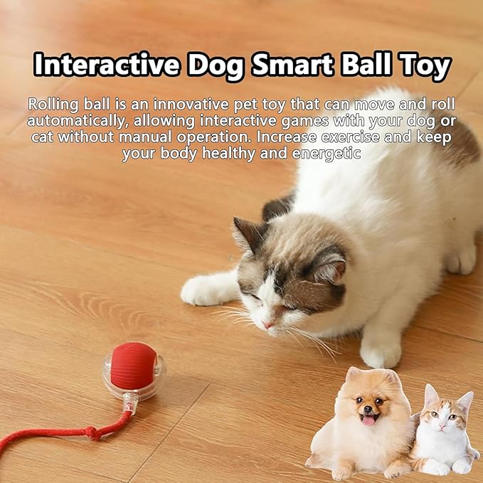 Interactive Pet Toy Ball, Interactive Cat Toys Ball for Indoor Cats Fast Rolling on Carpet, 360° Automatic Rolling BallToy for Dog/Cats